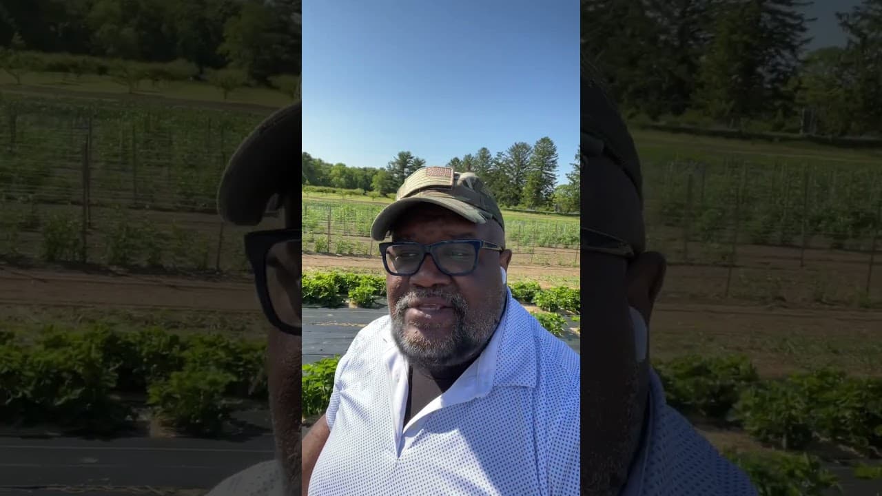 Thera Farms is open #blackcreator  #therafarms #longisland #food #strawberriesfields #familyfun — BFAM Cooking