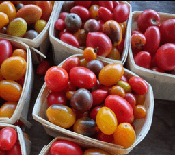 CSA Farming - Thera Farms